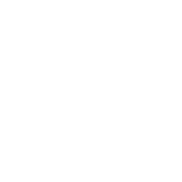 feature icon 1.png