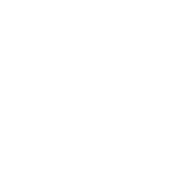 feature icon 2.png
